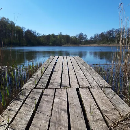 Archimedes - Modernes Wohnen In Historischer Drostei Im Suedharz *